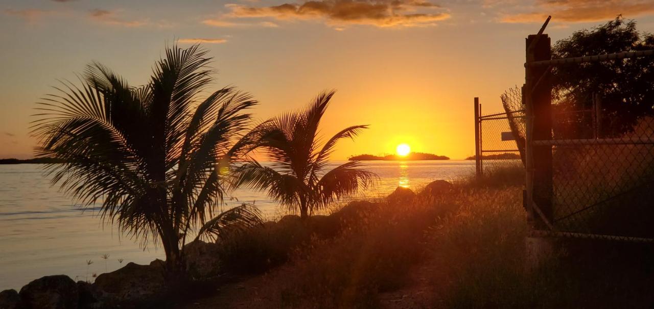 My Little Shack By The Sea Villa Las Las Lajas Buitenkant foto